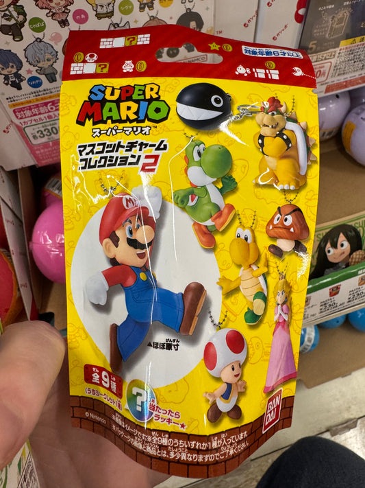 Super Mario Mistery Pack Key Holder
