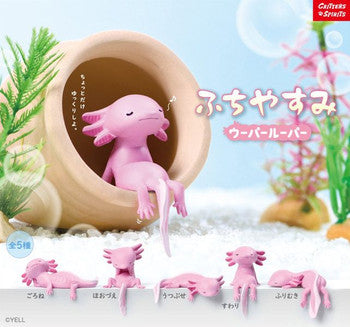 Fuchiyasumi Axolotl 1BOX Quantity: 10