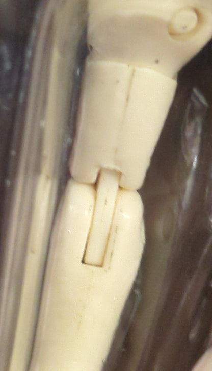 BANDAI Saint Seiya Myth Cloth Masami Kurumada Andromeda Shun / Final Bronze Cloth