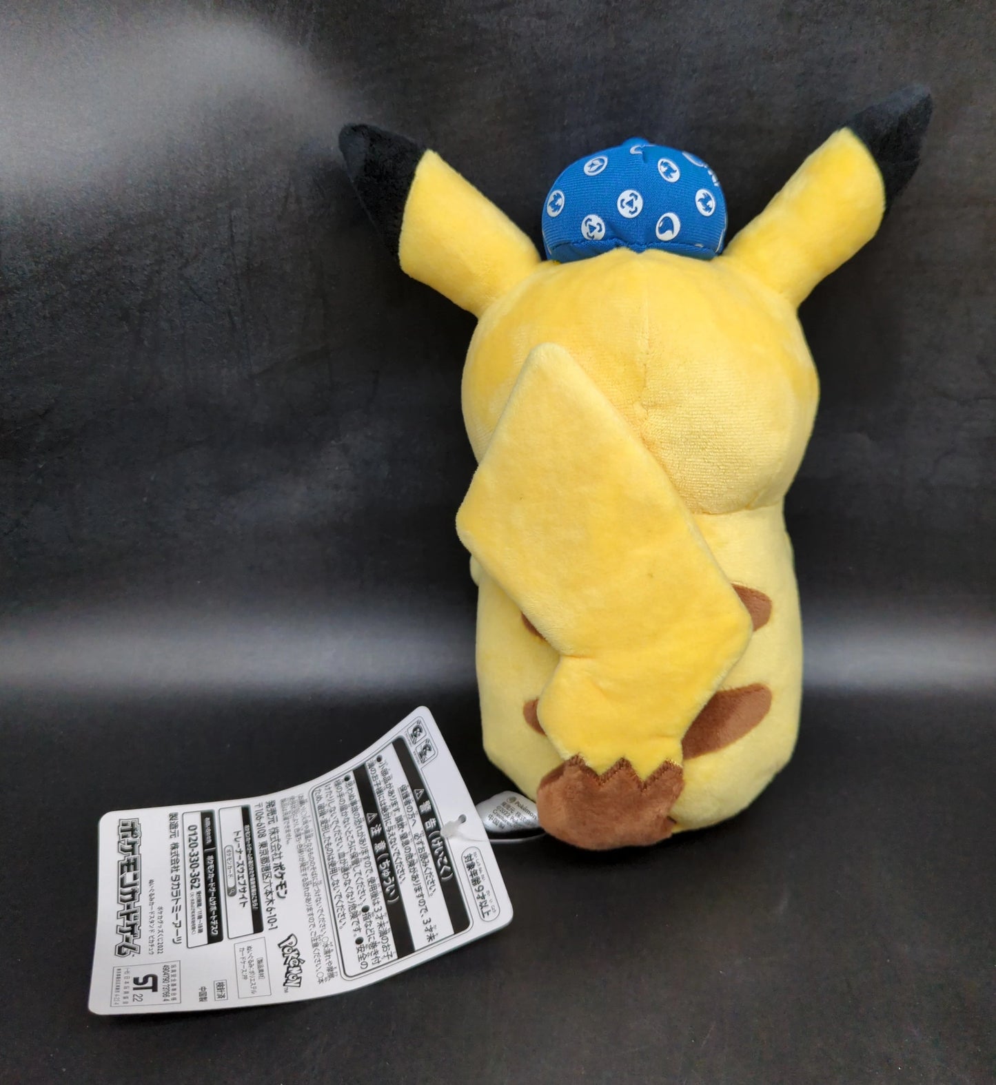 Pokemon Center Pokemon Card Lottery 2022 Pokemon Card Game B-Prize Plush Stuffed Toy Card stand Pikachu