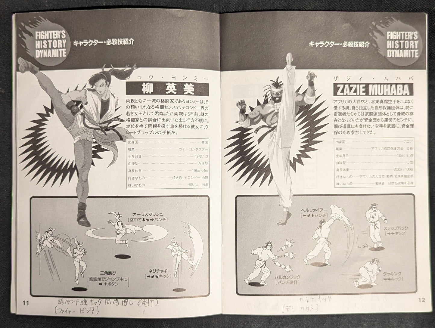 NEOGEO Fighters History Dynamite