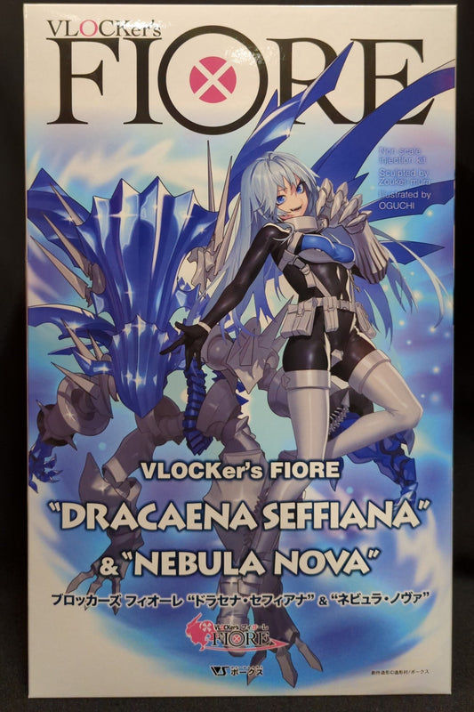 Volkss Fiore Dracaena Cefiana and Nebula Nova