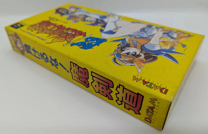 SFC Don't Give Up! Magicendo