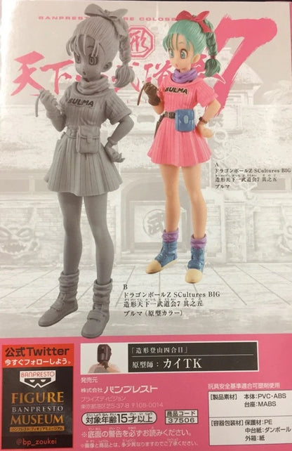Banpresto - SCultures - BIG Zoukeiou World Martial Arts Tournament (Tenkaichi Budokai) 7-5 DBZ Bulma (Special Color)