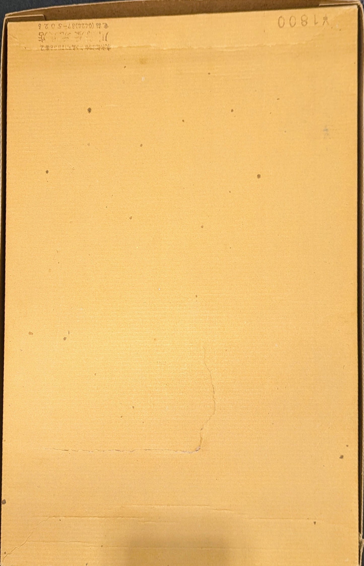 Bandai Adamski Flying Saucer/Close Encounters of the Third Kind