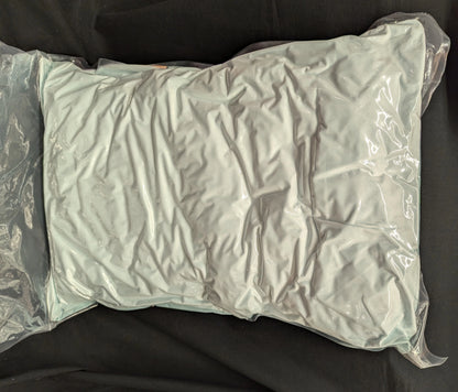 Pokemon Shiny Box 2025 Pocket Monsters First Dream Pillow Pamo