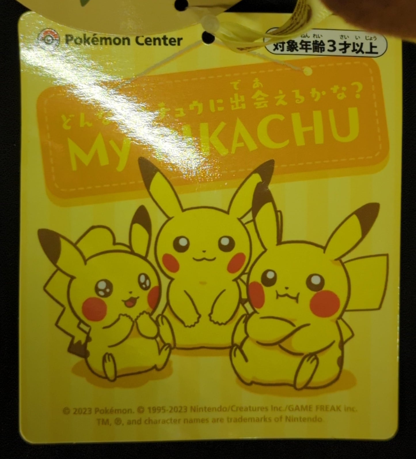 Pokemon/Takara Tomy Arts Plush Stuffed Toy What kind of Pikachu will you meet?  Pokemon My PIKACHU