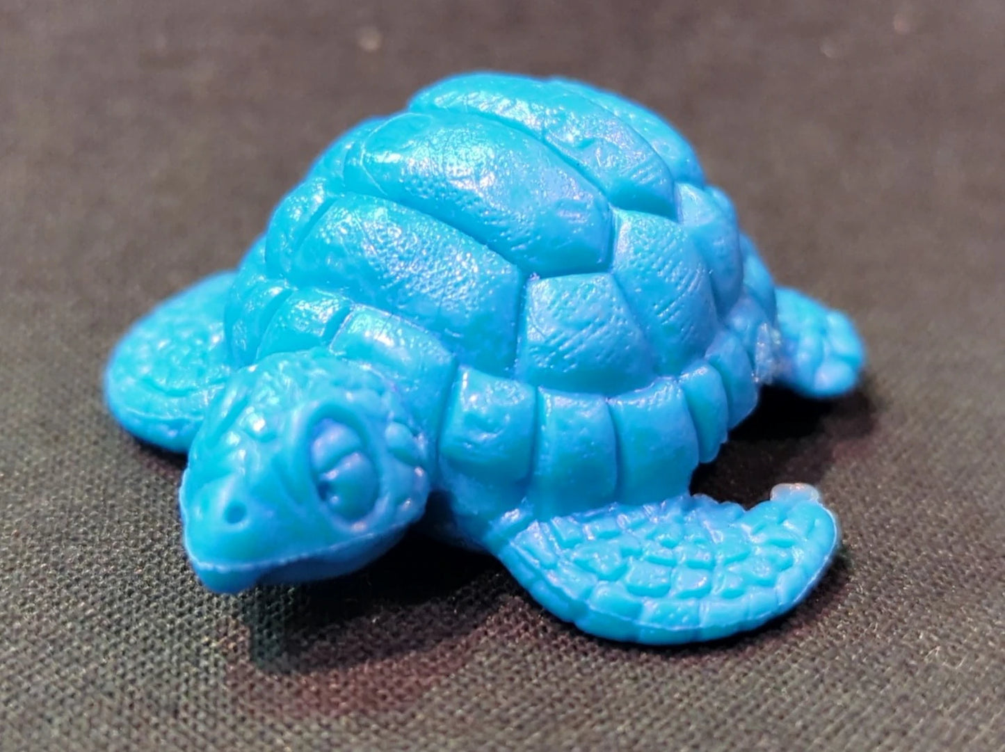 Bandai Dragon Ball Vol. 2 025 Turtle Hermit (Master Roshi) B and Turtle Blue color Turtle Only
