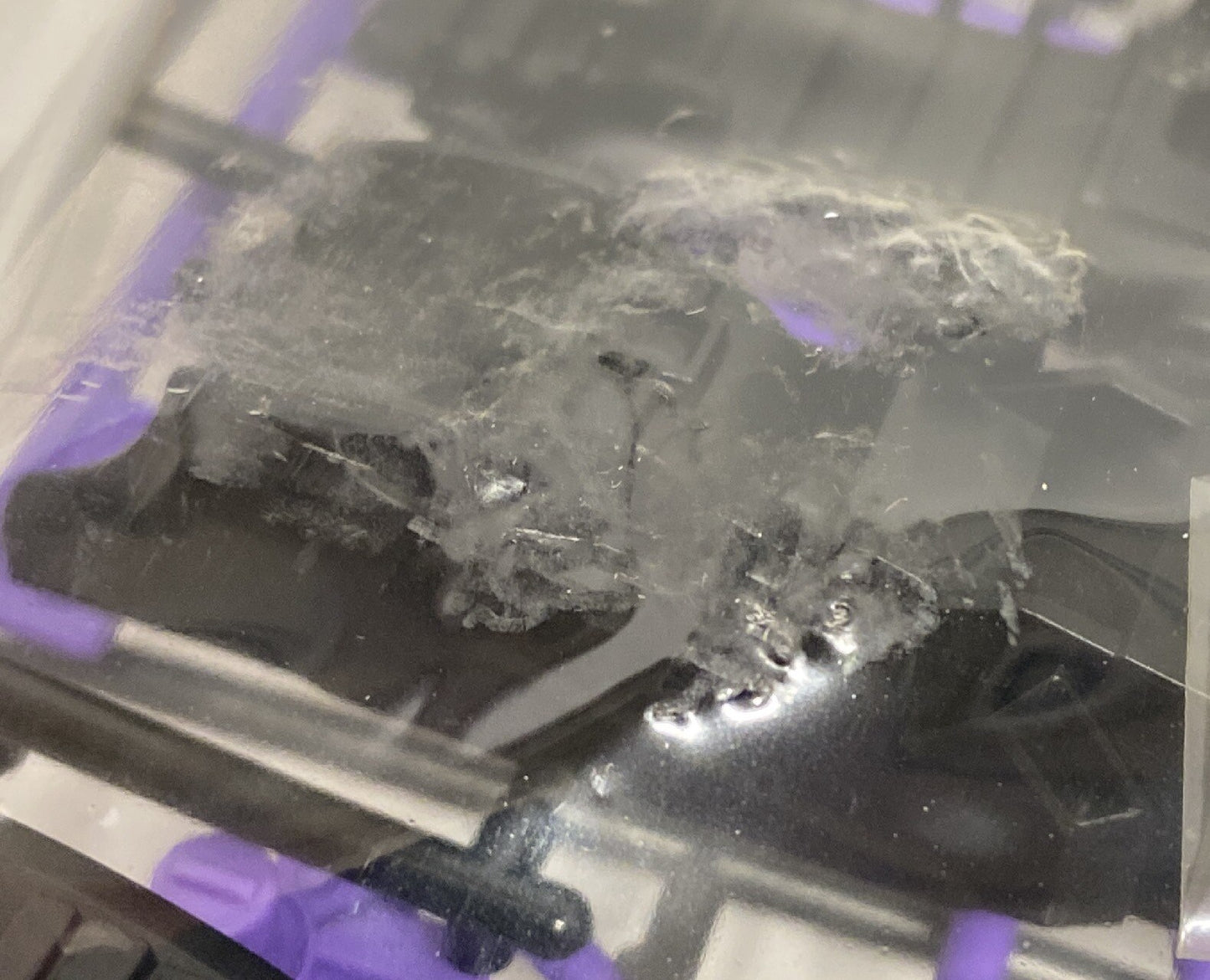 Oggetto bonus del gioco Tomy Zoids Blocchi Geno Saurer/Zoids Infinity EX NEO Oggetto bonus pre-ordine