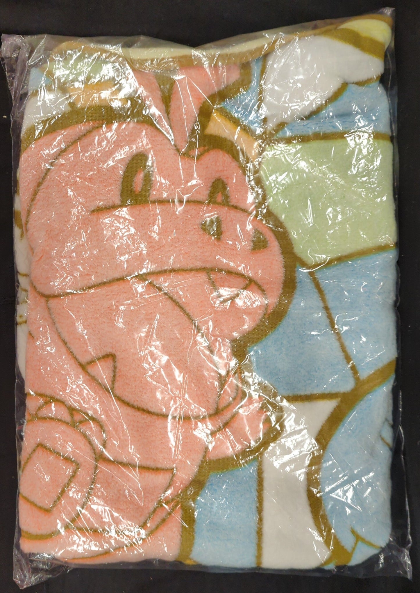 Sega Premium fuwa&hug Blanket Pokemon Play Time!