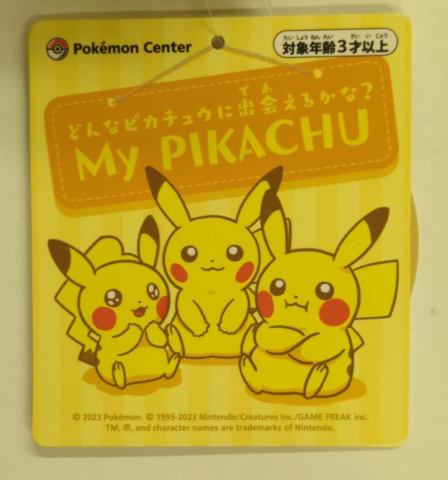 Pokemon/Takara Tomy Arts Plush Toy What kind of Pikachu will you meet?  Pokemon My PIKACHU
