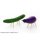 Spirit horse model kit cucumber and eggplant