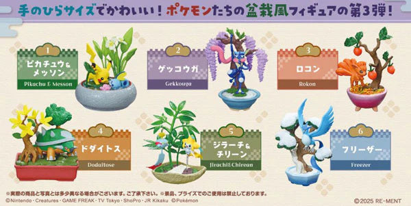 Pocket BONSAI3-With the changing seasons- Quantity in 1BOX: 6