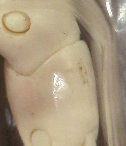 BANDAI Saint Seiya Myth Cloth Masami Kurumada Andromeda Shun / Final Bronze Cloth