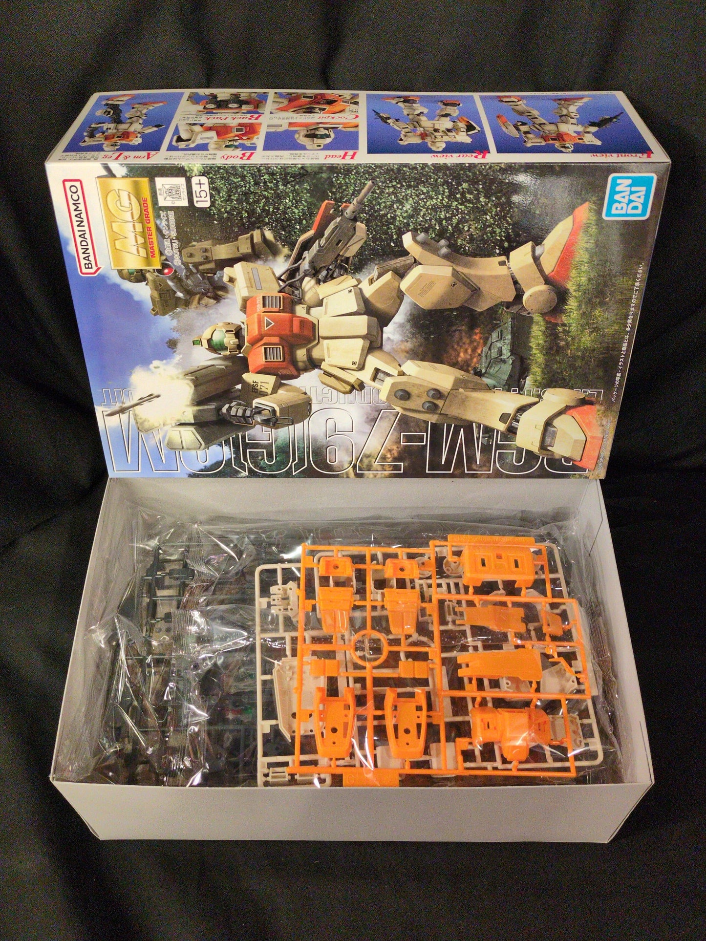 RFTERM0TOKEN MG 1/100 RFTERM1TOKEN Version des GM Ground Type/ 15+ Notation