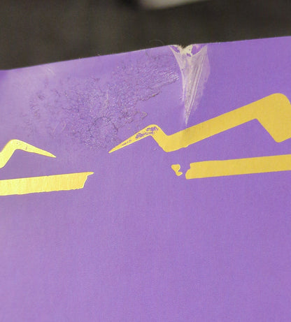 Pokemon Pokemon Center Original Figure Kotobukiya Miridon