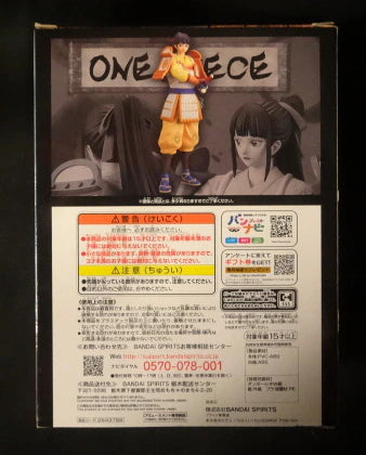 RFTERM0TOKEN DXF THE GRANDLINE SERIES EXTRA KIKUNOJO Kikunojo