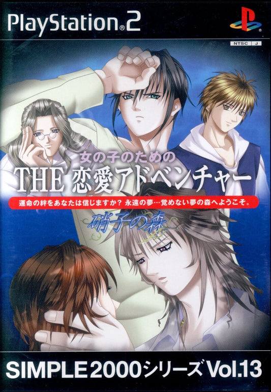 D3PUBLISHER PS2 THE Love Adventure for Girls ~Glass Forest~