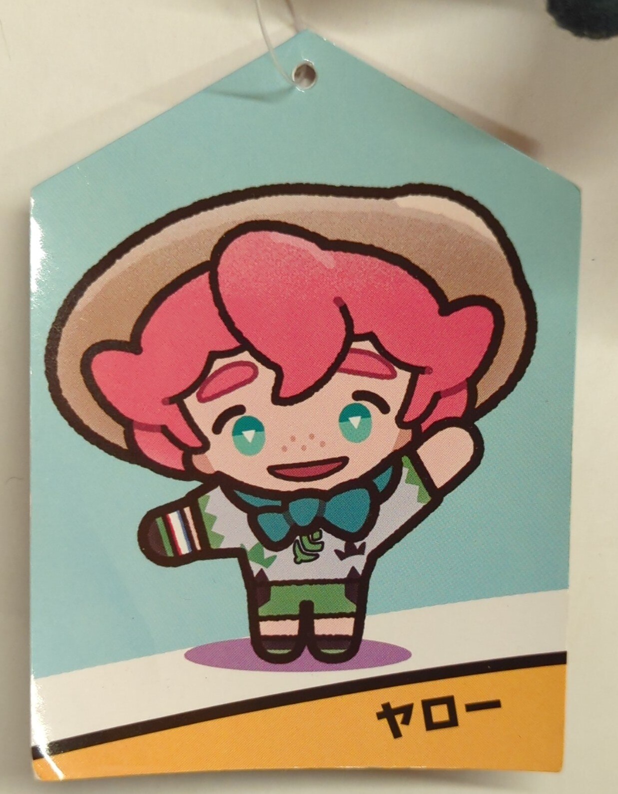 Pokemon Mascot/POKEMON TRAINERS Pocket Monsters Yarrow