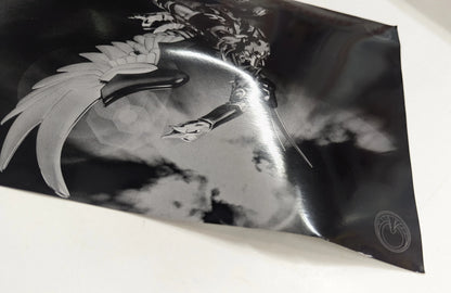 BANDAI Saint Seiya Myth Cloth Masami Kurumada Cygnus Hyoga God Cloth 10th Anniversary Edition