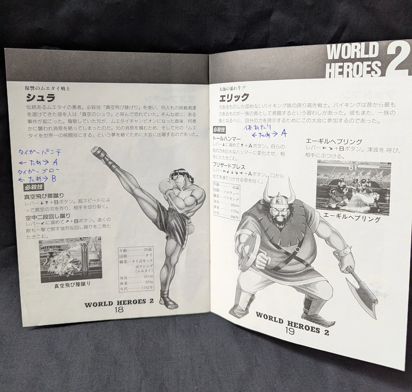 NEOGEO World Heroes 2