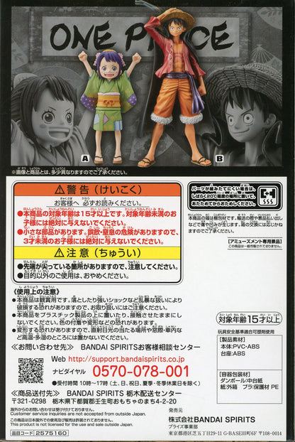 RFTERM0TOKEN DXF THE GRANDLINE SERIES Pays Wano vol.2 Tama