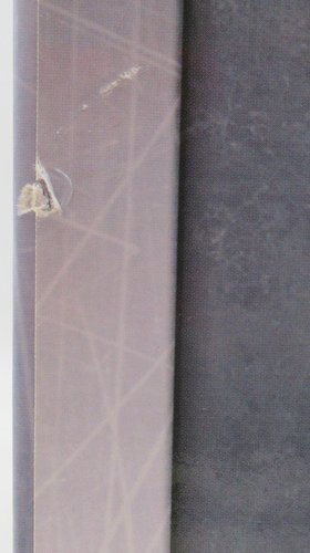 Tsume Art HQS Phoenix Ikki