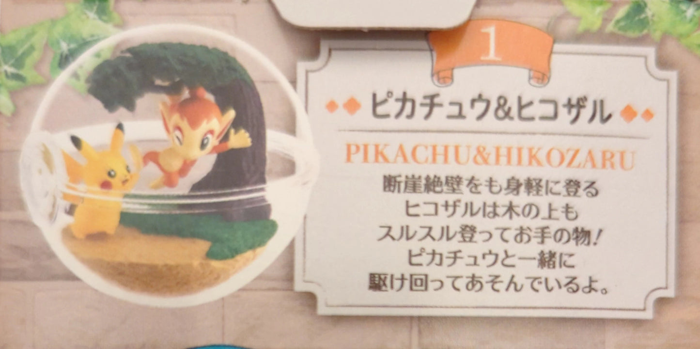 Re-Ment Terrarium Collection 12 Pokemon Pikachu and Hikozaru 1