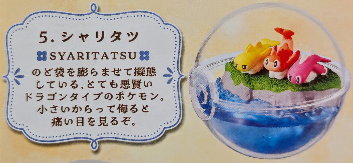 Re-ment Pokemon Terrarium Collection EX Run Through the World of Paldea Sharitatsu 5