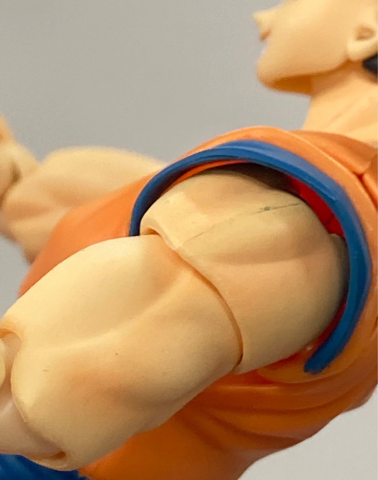 Bandai SHFiguarts Son Goku/Tamashii Web Édition Limitée