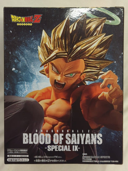 RFTERM0TOKEN BLOOD OF SAIYANS SPECIAL IX Super Saiyan Gogeta