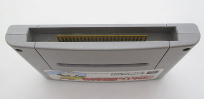 SFC Gokinjo Adventure Team