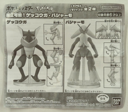 RFTERM0TOKEN Assemble and Move! Greninja & Blaziken RFTERM1TOKEN Blaziken