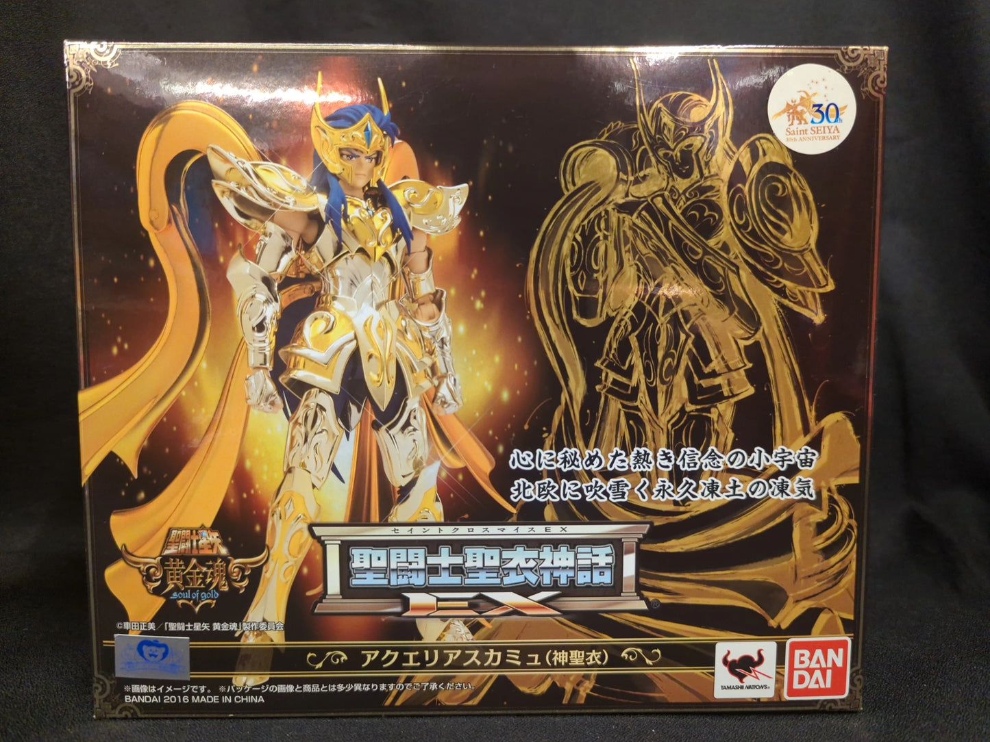 BANDAI Saint Seiya Myth Cloth EX Masami Kurumada Aquarius Camus (God Cloth)/God Cloth