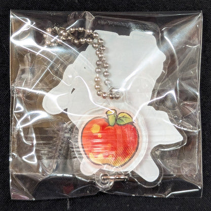 Pokemon Center Acrylic Charm Collection B / Pokemon Mystery Dungeon Rescue Team DX Pokemon Mystery Dungeon Rescue Team DX Caracara 8