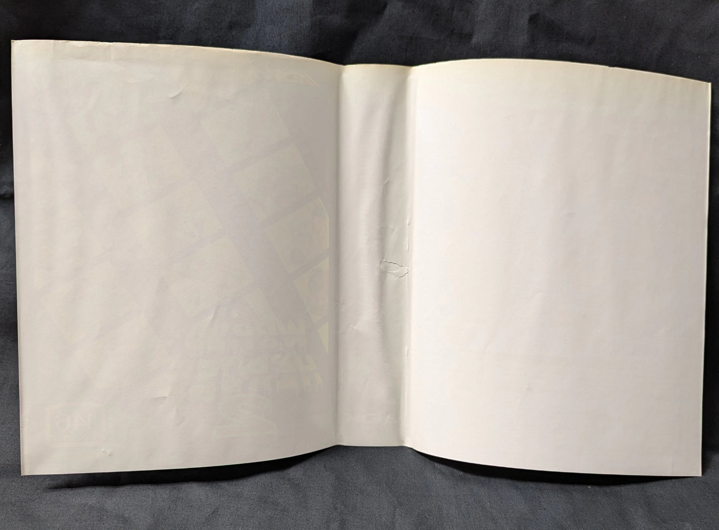 NEOGEO World Heroes 2