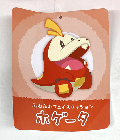 Pokemon Fluffy Face Cushion/Pikapika Box 2024 Pokemon Hogtail