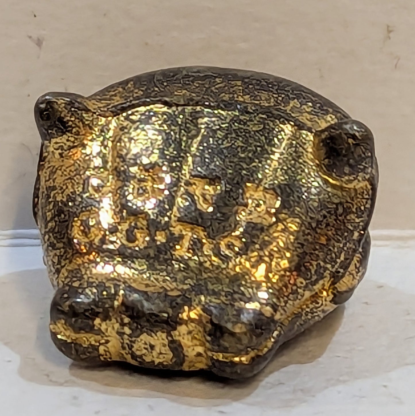 Joint Pokemon Metal Collection 3 Shellder Gold