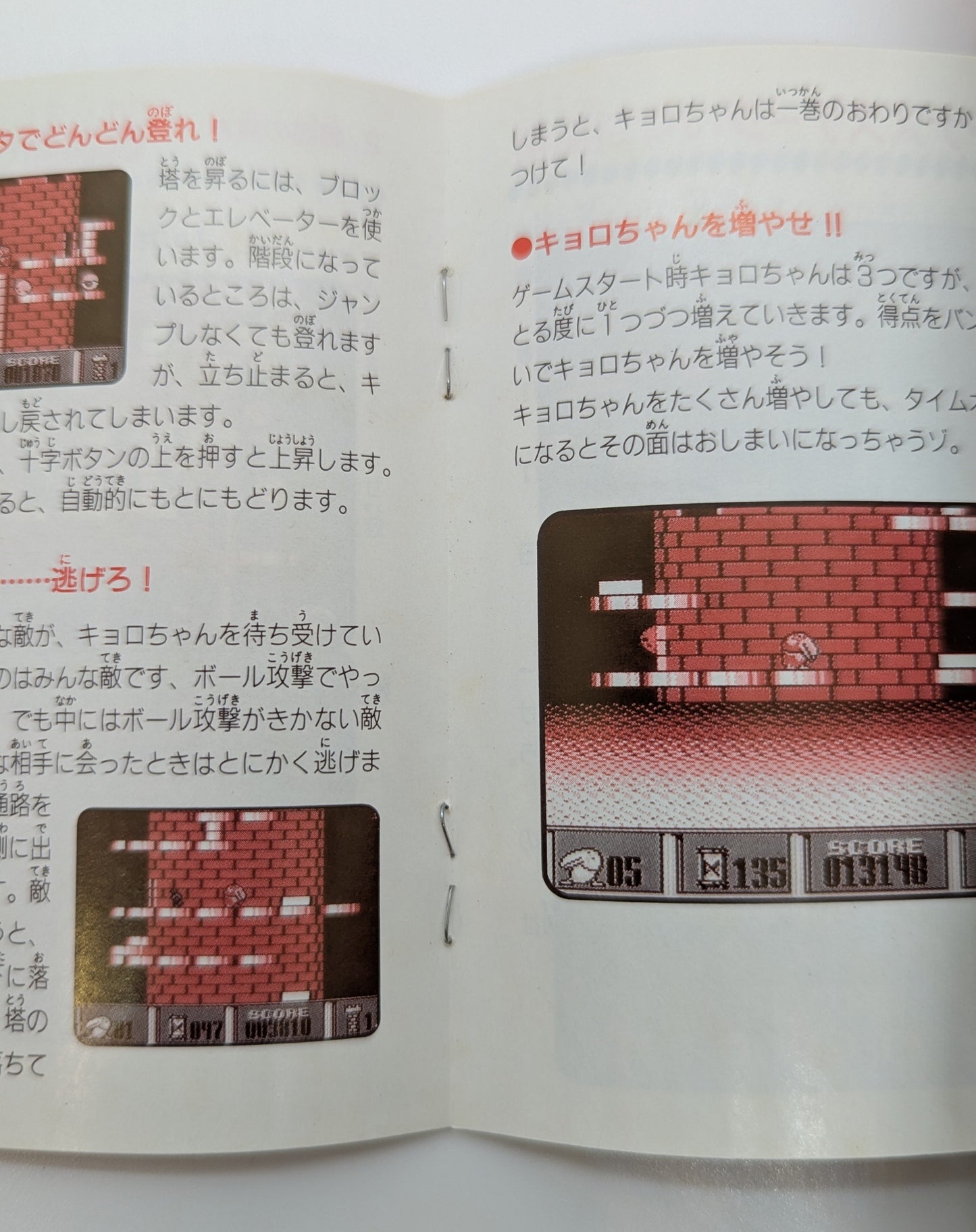 HIRO FC Kyorochan Land