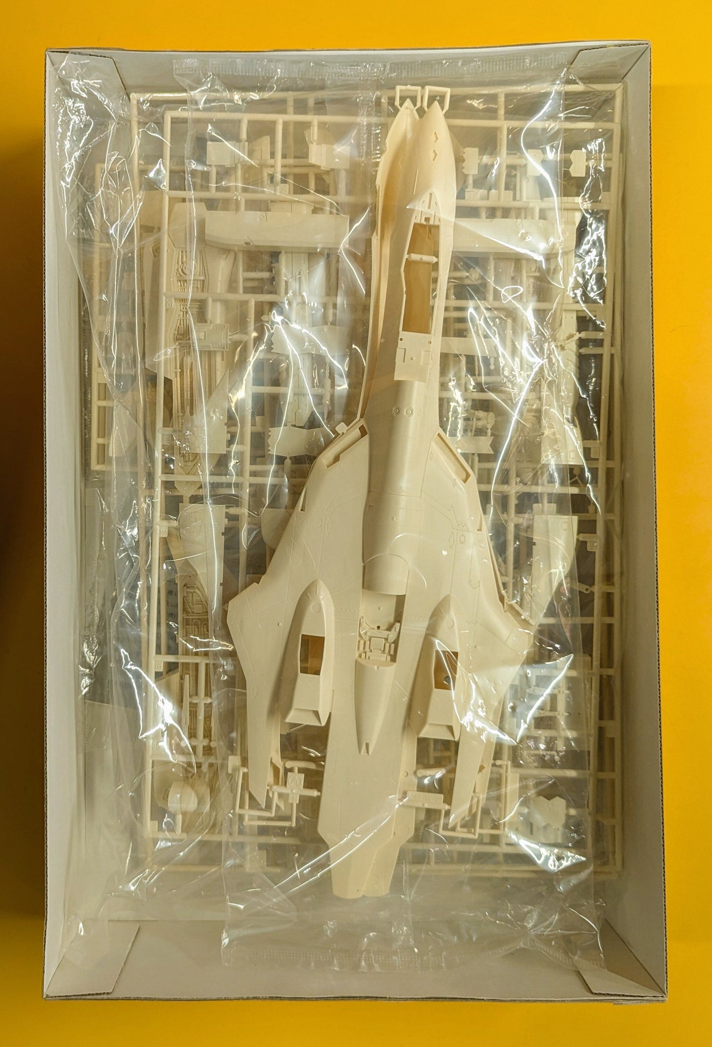 Hasegawa 1/48 scale YF-19 MC01
