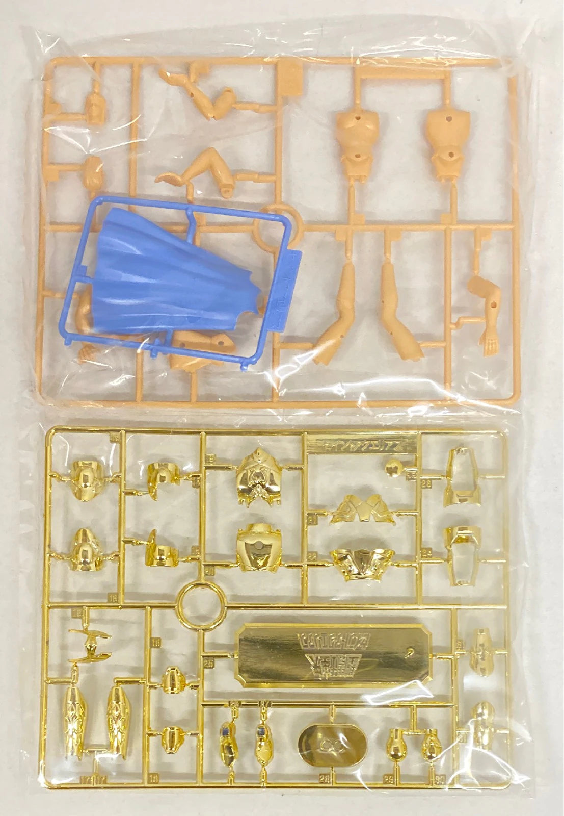 BANDAI Modello in plastica / Serie Saint Seiya Masami Kurumada Saint Aquarius / Rivendita Lettera blu