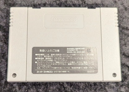 SFC Pretty Soldier Sailor Moon SOutside the Ring Brawl!? The Battle for the Leading Role