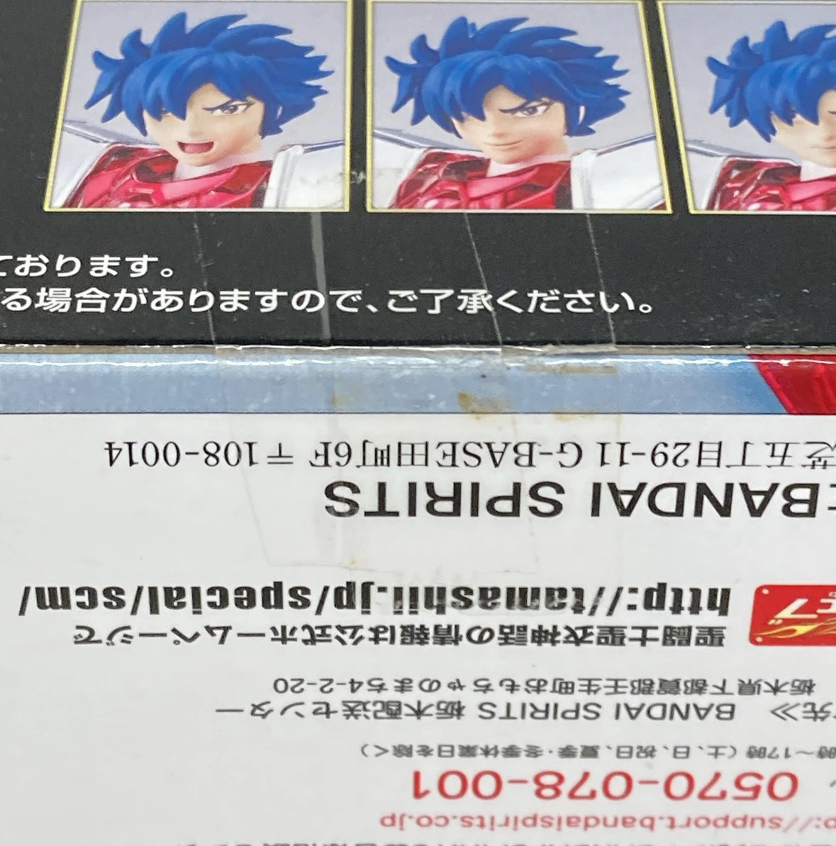 BANDAI SPIRITS Saint Cloth Myth Saint Seiya Sky Sky Cloth Sho -Revival Edition-/Steel Saint