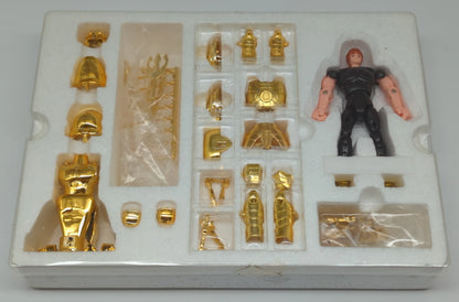 Bandai Saint Seiya Saint Cloth Taikei Gold Cloth Cloth