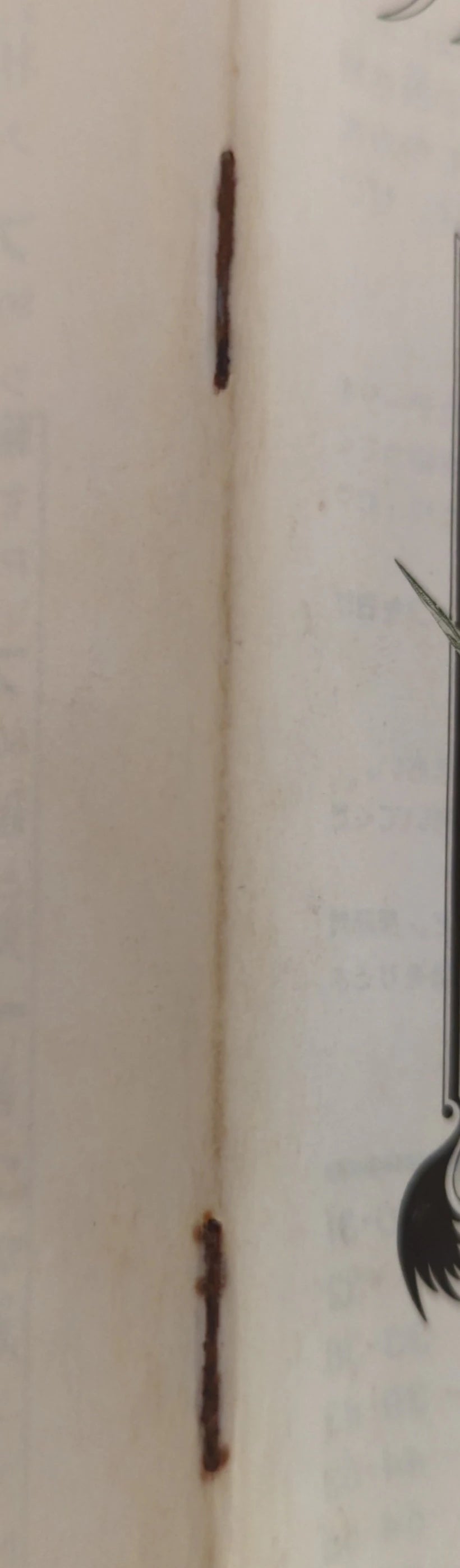 FC Final Fantasy III